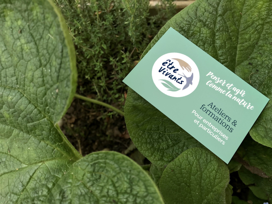 Création graphique carte de visite Etre vivants